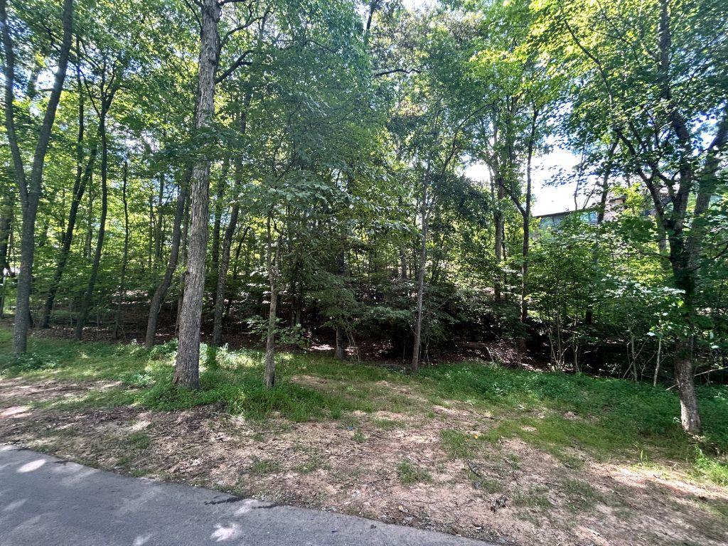 Lot 137 Hickory Way
