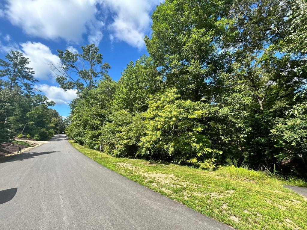 Lot 137 Hickory Way