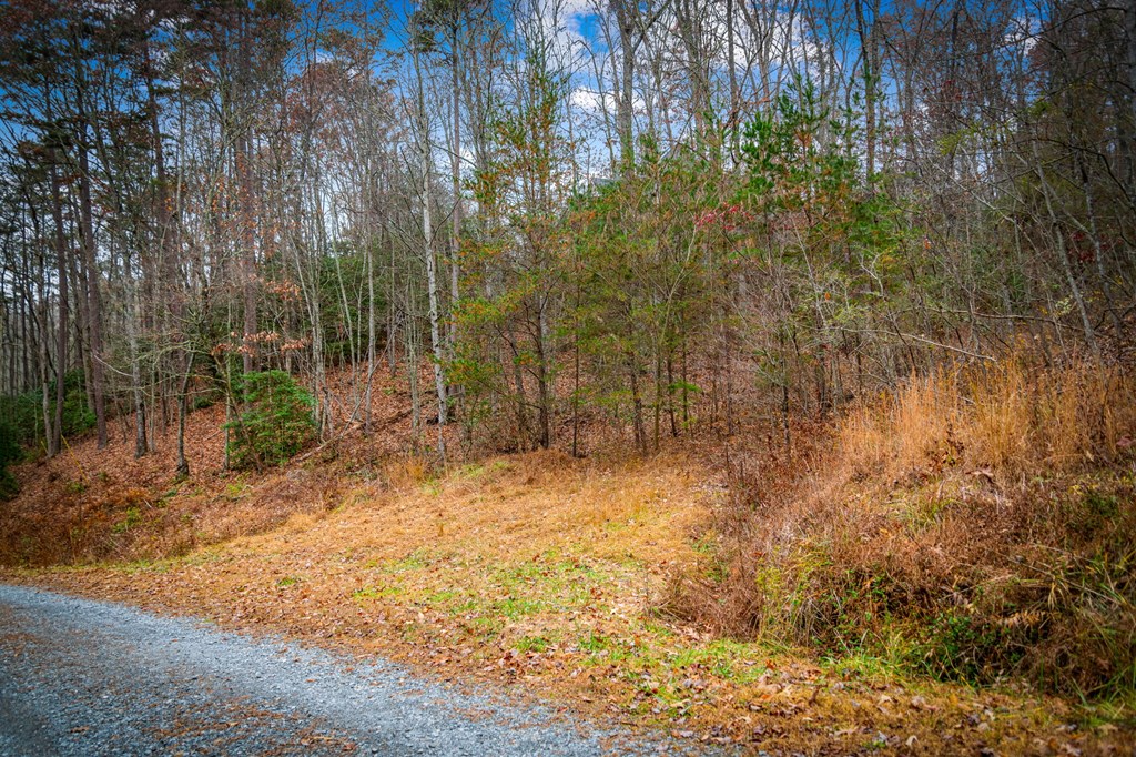 5.97 AC Bullen Gap Road