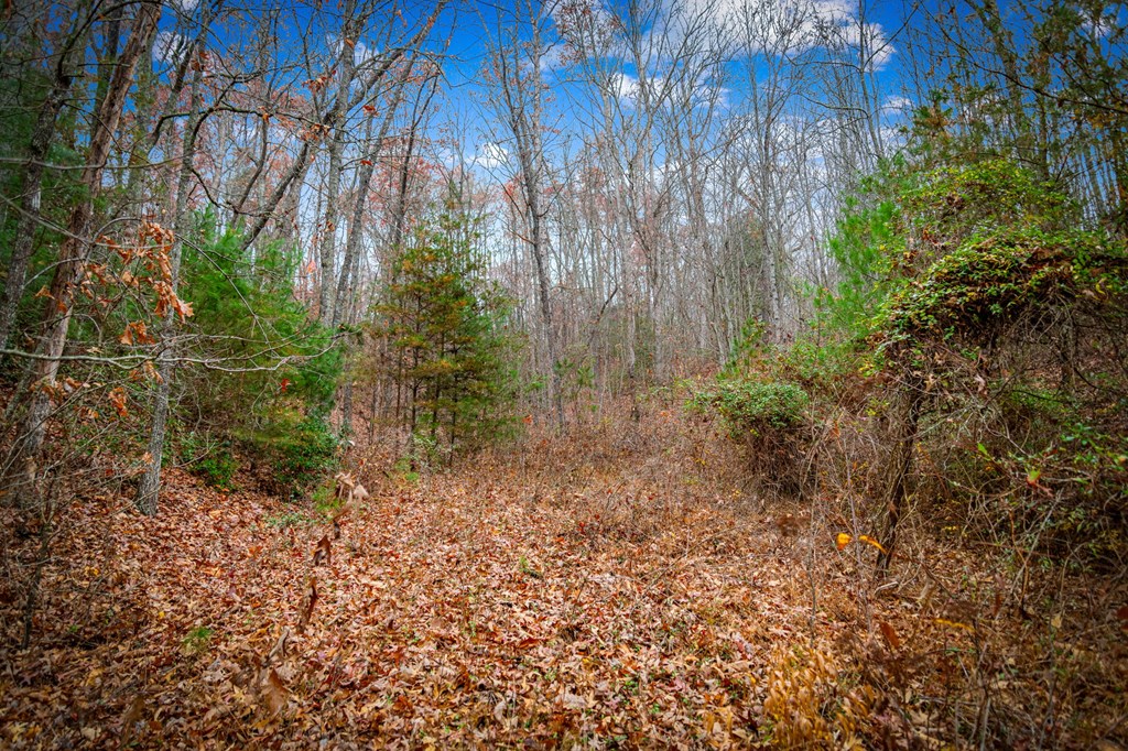 5.97 AC Bullen Gap Road