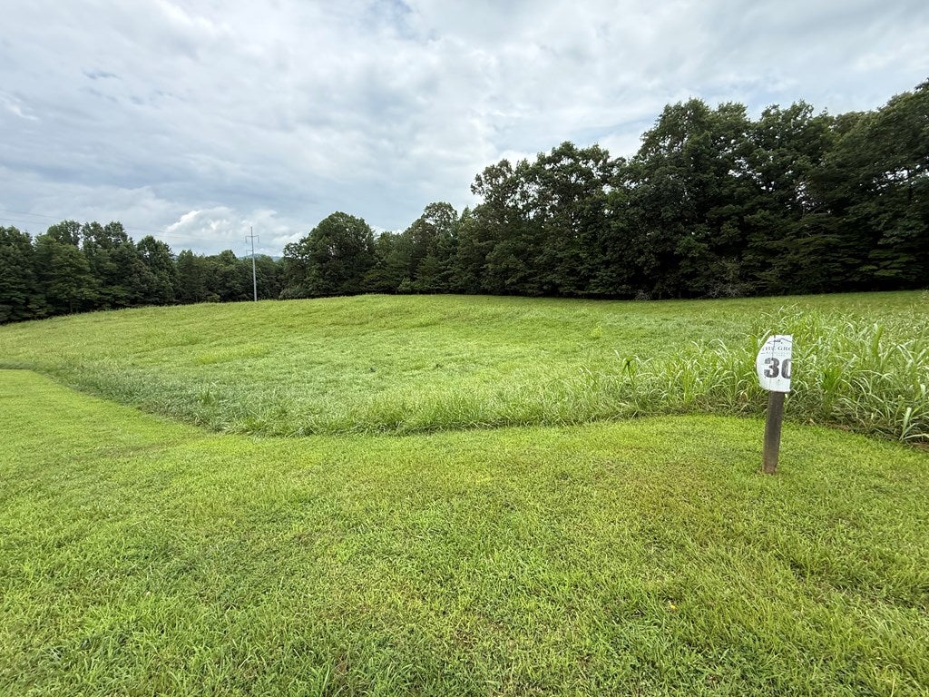 LOT 30 The Grove @ Highland