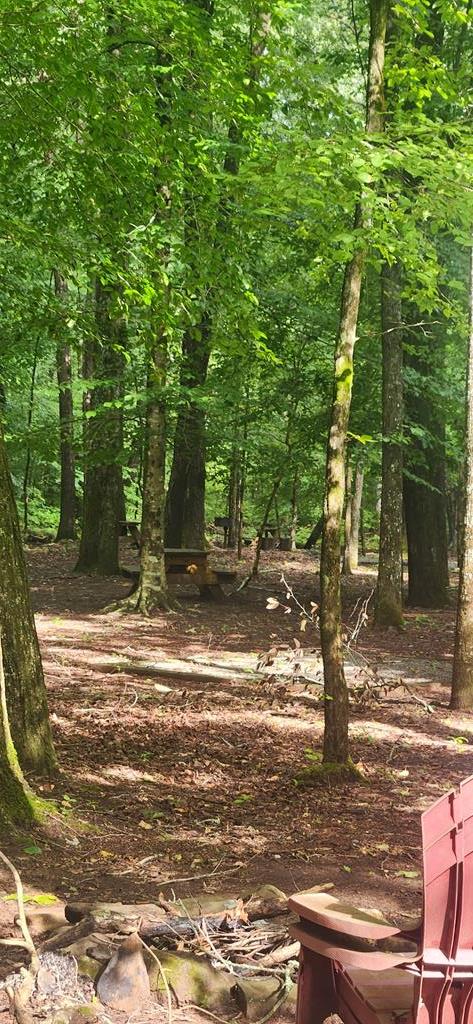 L176 Trailwood Drive