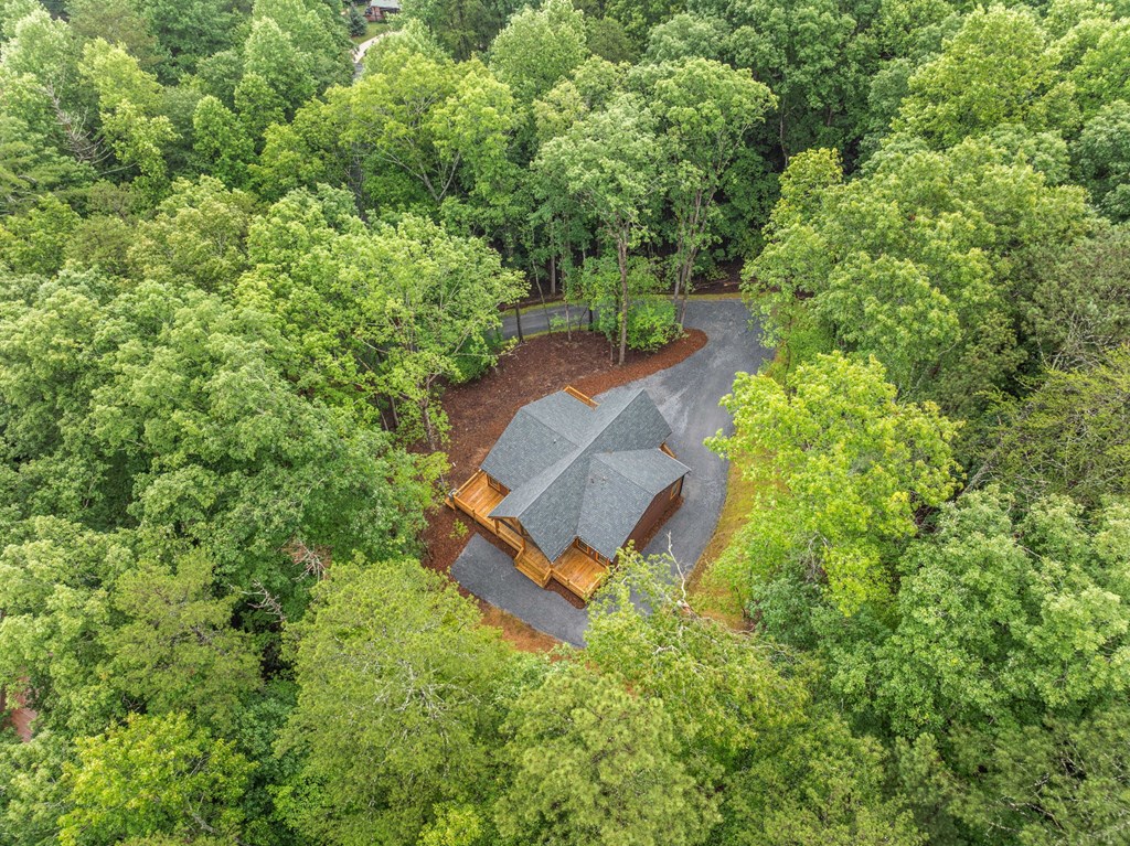 241 Lemmon Lane