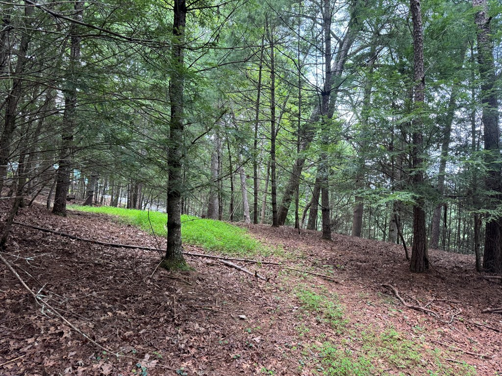 Lot 61 White Pine Trail