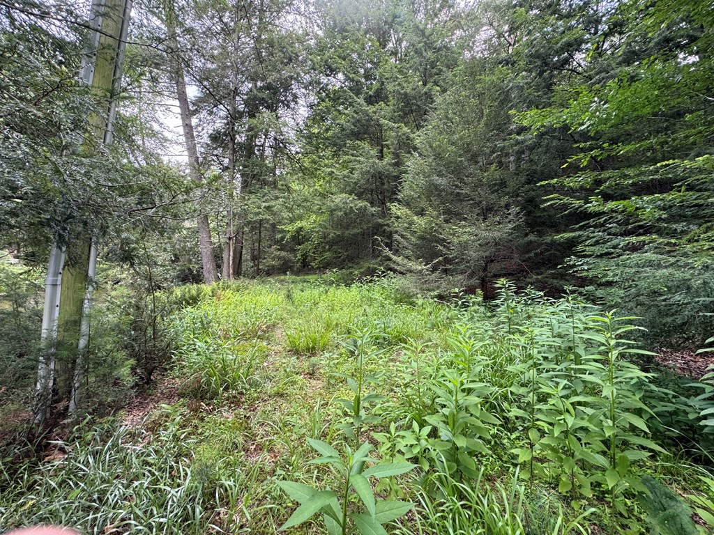 Lot 61 White Pine Trail