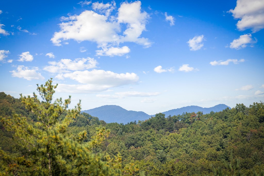 588 Bell Camp Ridge Road