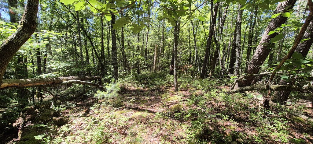 Lot 28 Laurel Ridge