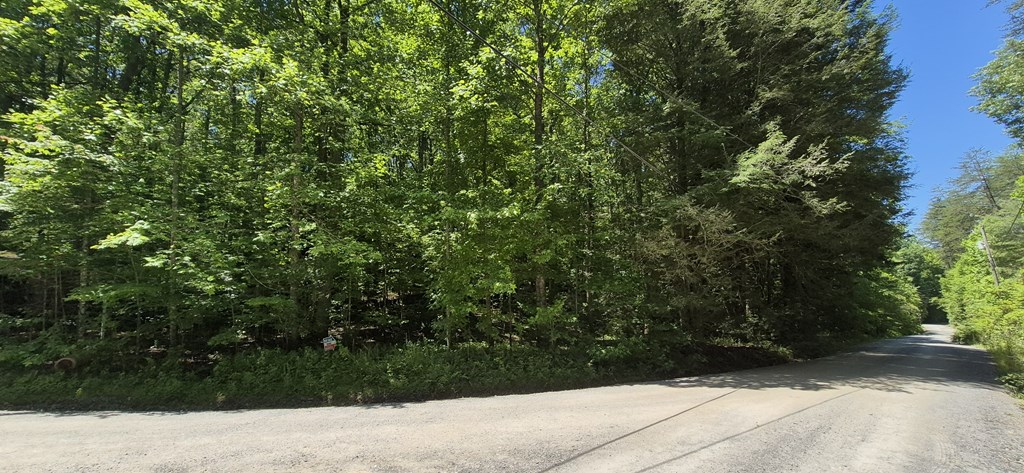 Lot 28 Laurel Ridge