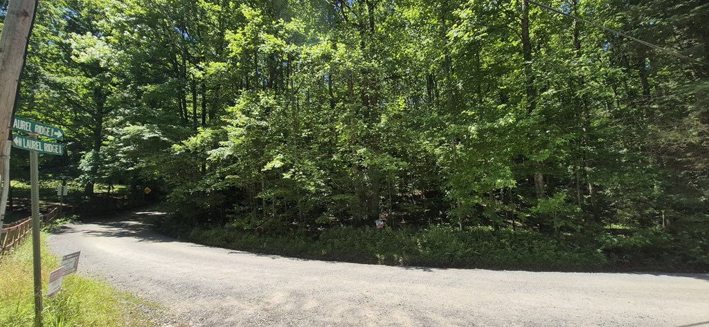 Lot 28 Laurel Ridge