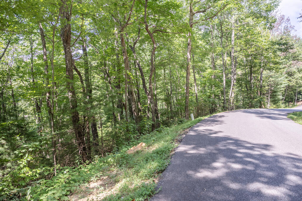 Lot 23 Flat Rock Gap Road