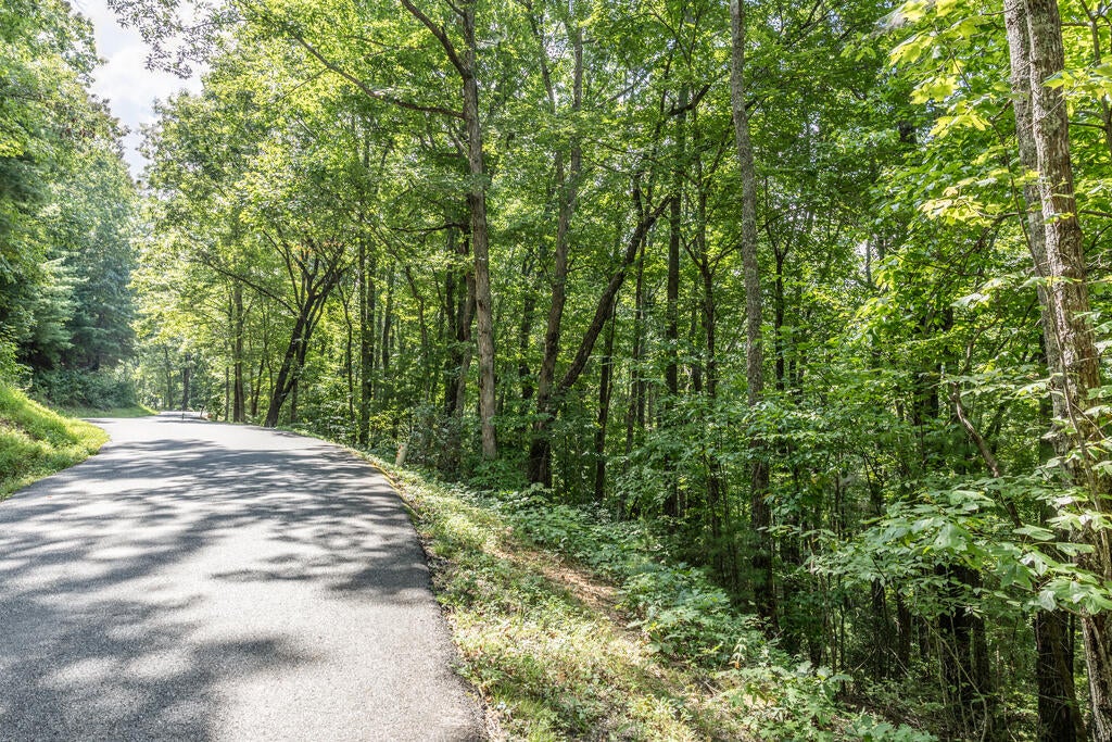 Lot 23 Flat Rock Gap Road