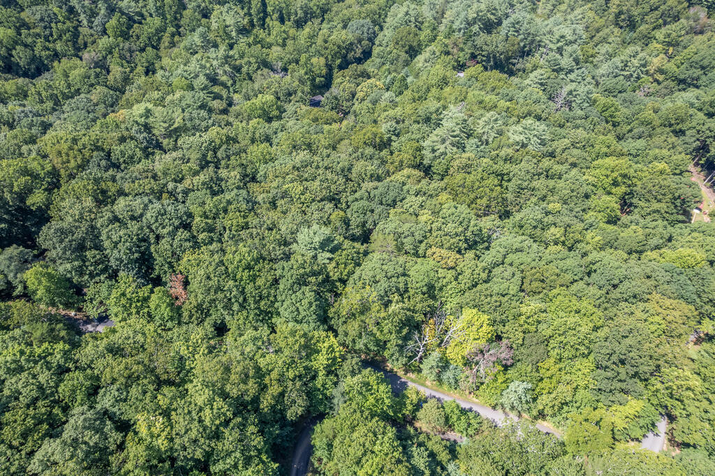 Lot 23 Flat Rock Gap Road