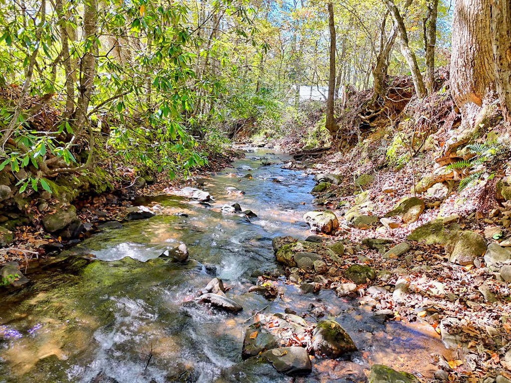 1064 Muskrat Creek Road