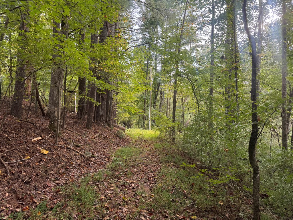 Lot 7 Double Creek Drive