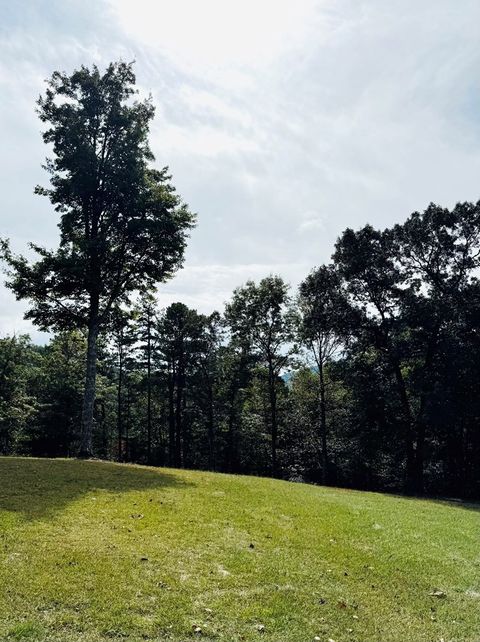 A home in Hiawassee