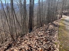 Lot 31 Hidden Summit Road