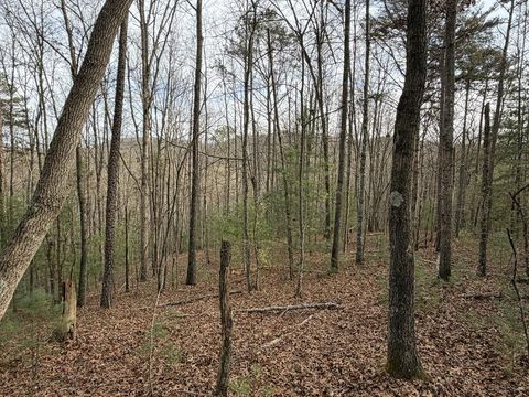 83 Acres Cutcane Road Mineral Bluff GA 30559