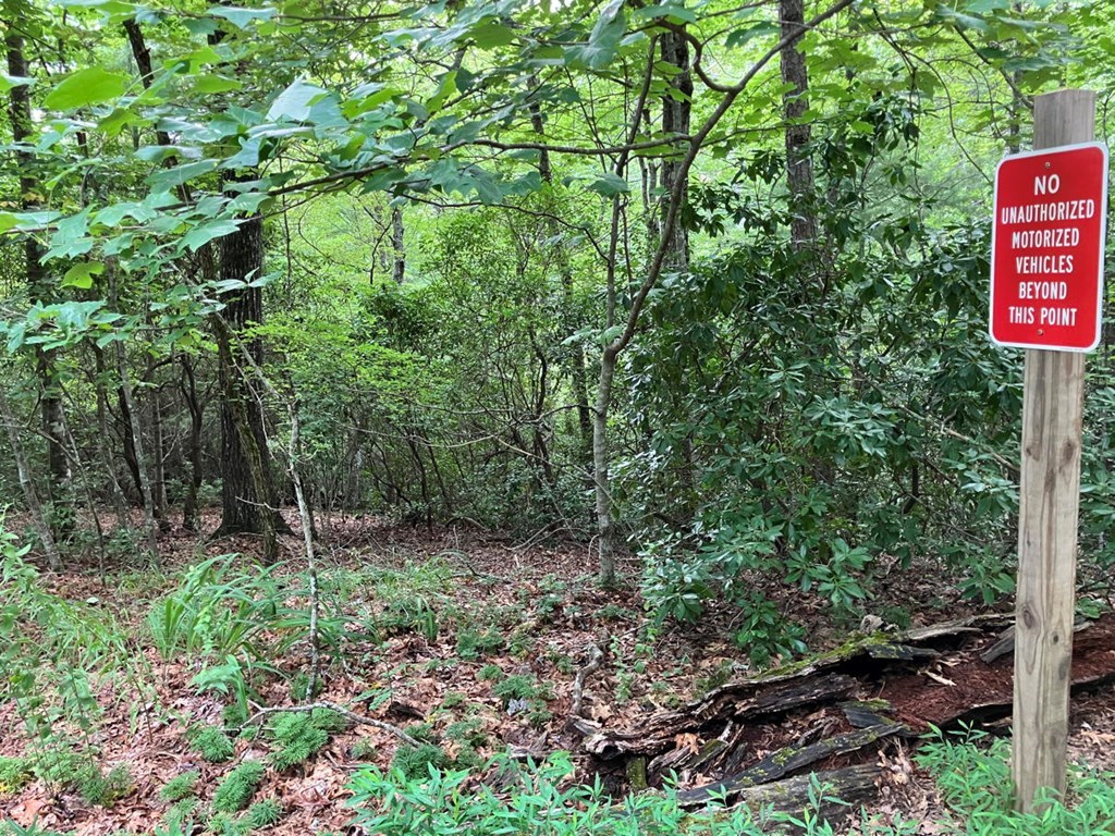 Lot 41 Floris Mountain Road