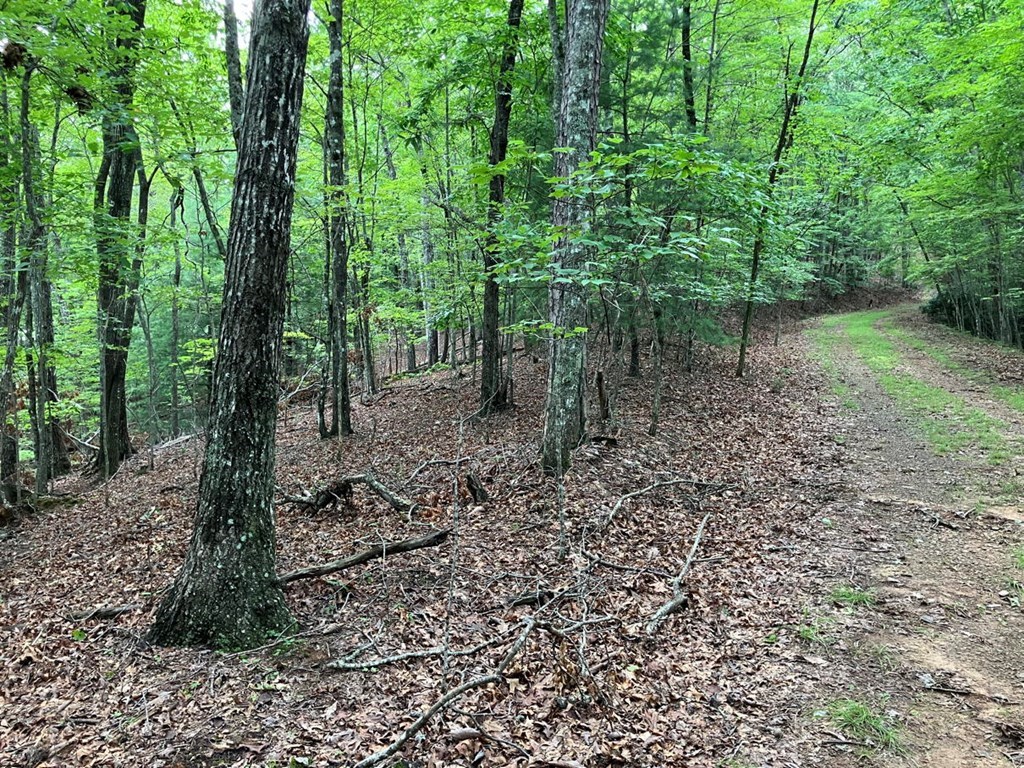 Lot 41 Floris Mountain Road