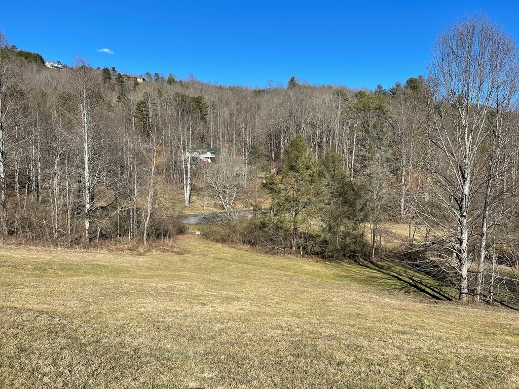 Lot 21C Ash Branch Circle