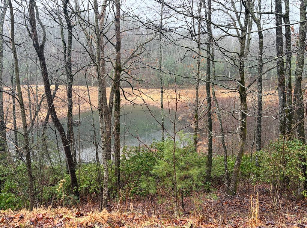 LOT 42 Whisper Woods Road