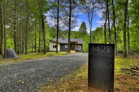 A home in Blue Ridge