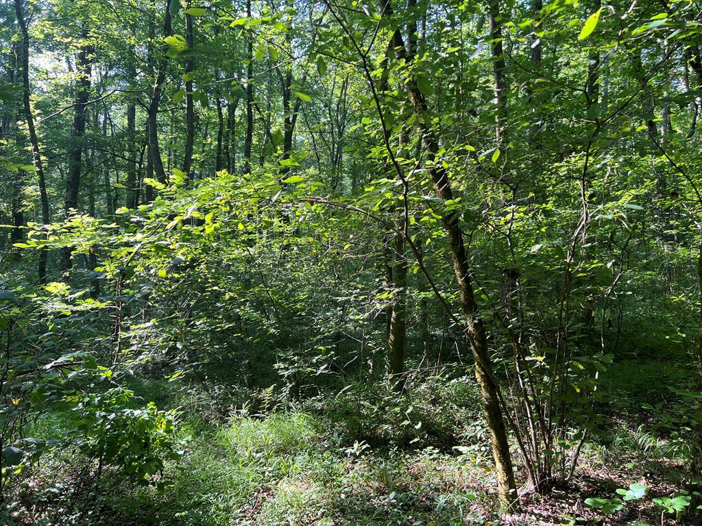 0 Mac Garner Road