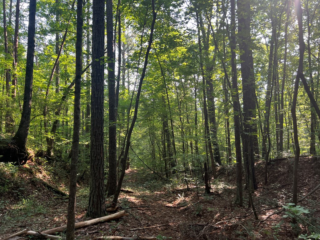 0 Mac Garner Road