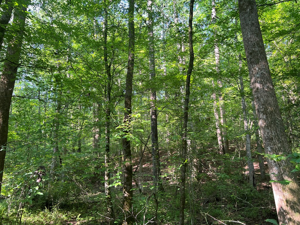 0 Mac Garner Road