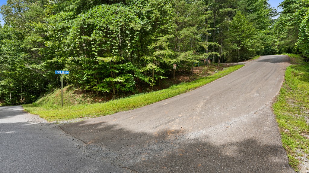 Lot 10 Papa Bear Path