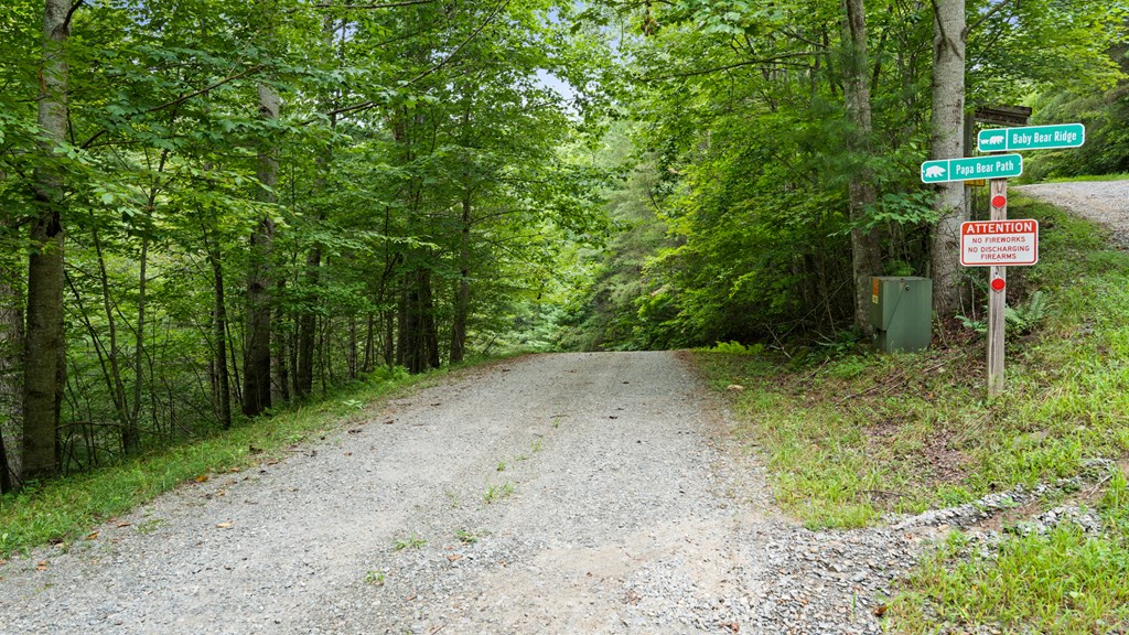 Lot 10 Papa Bear Path