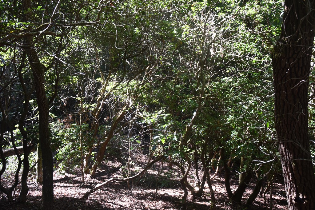 Lot 3 Riverbend Trail