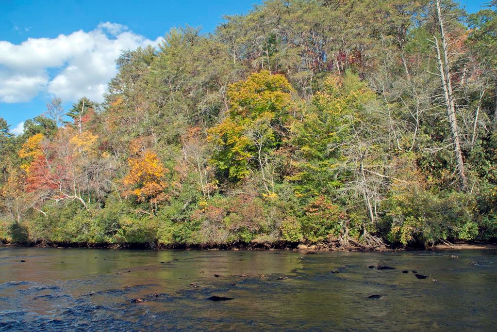 Lot 3 Riverbend Trail