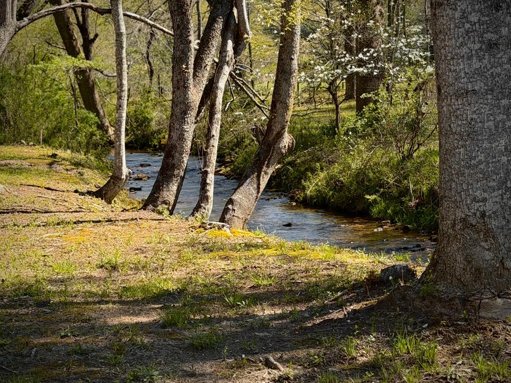 33 Pigeon Creek Drive