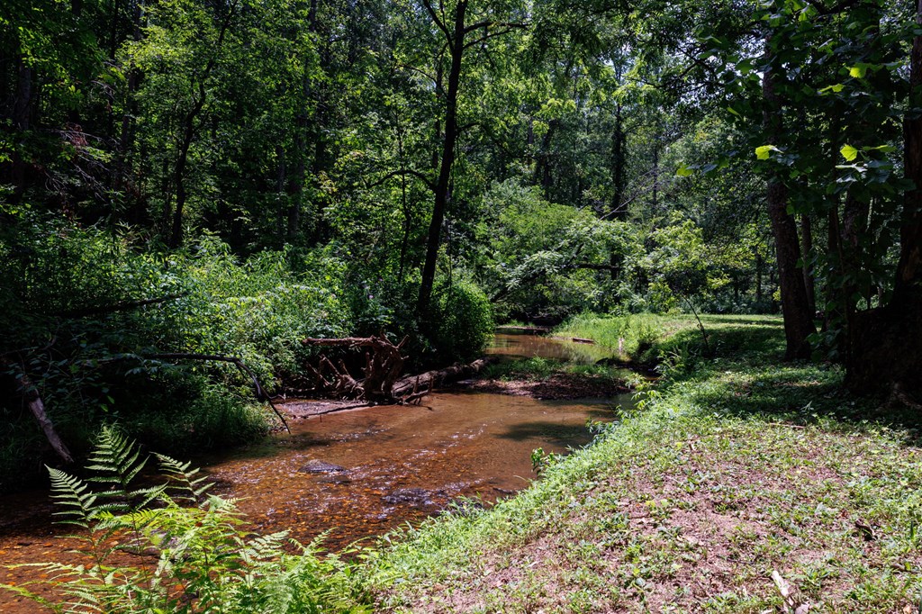 1903 Bell Eagle Drive