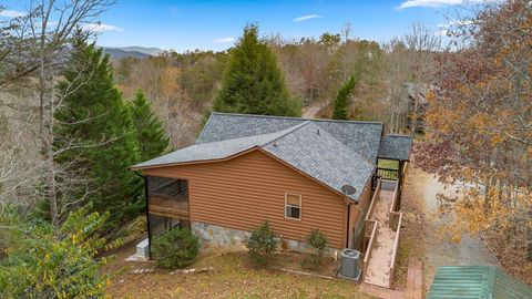 A home in Blue Ridge