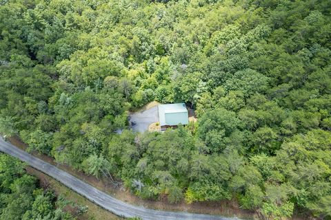 A home in Blue Ridge