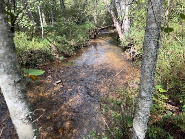 154 Foggy Meadow Drive