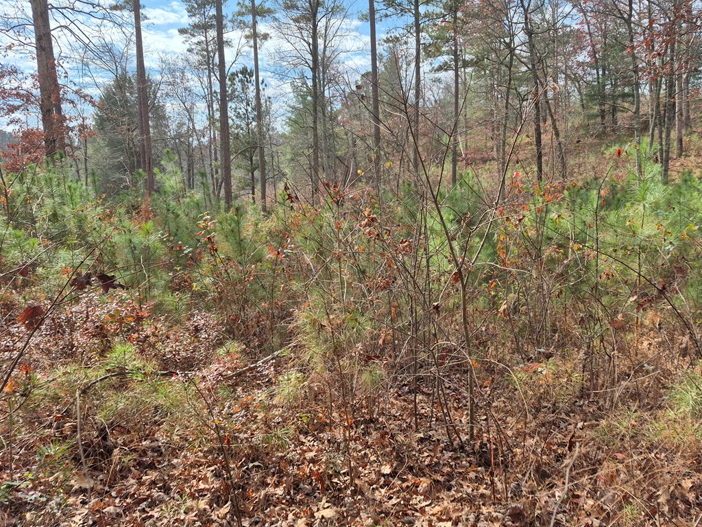 00 High River Crossing