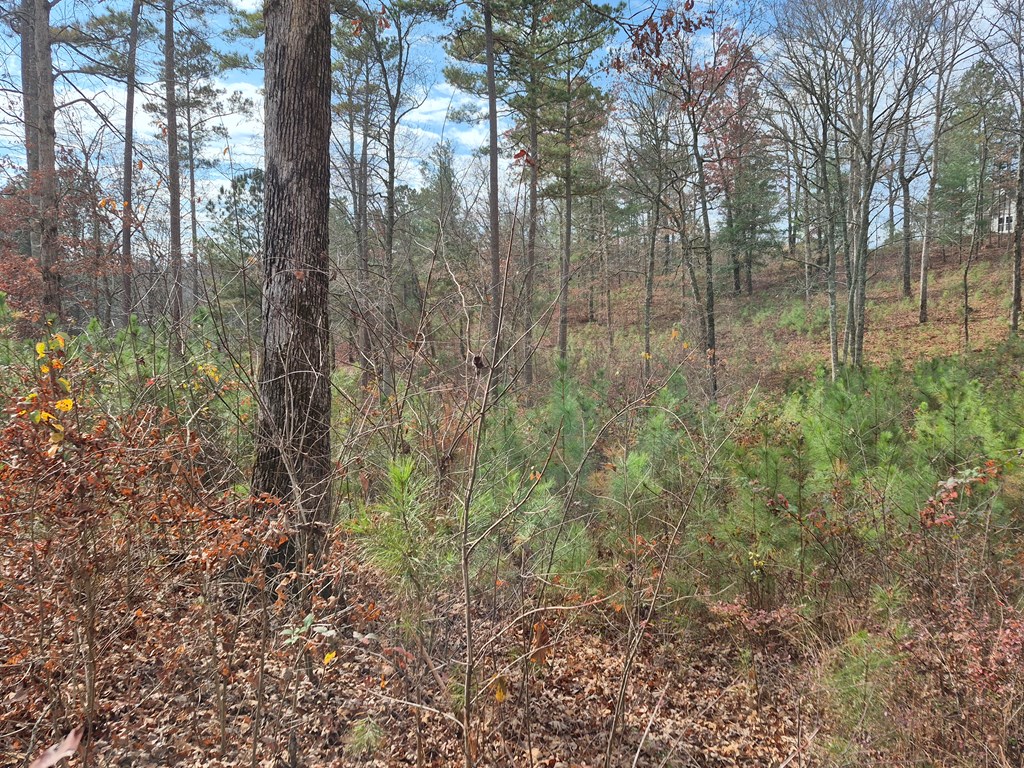 00 High River Crossing