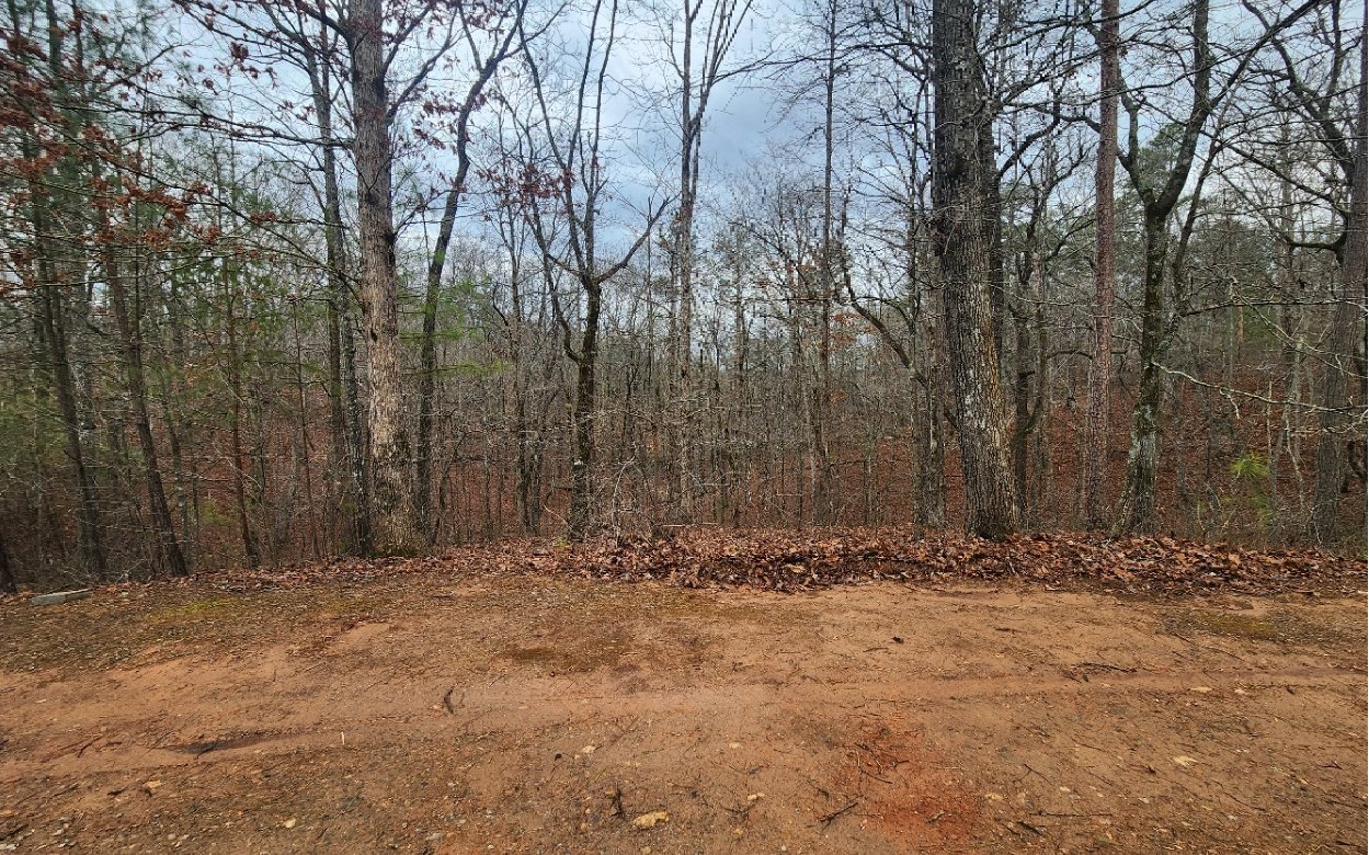LOT 9 Harris Creek Drive