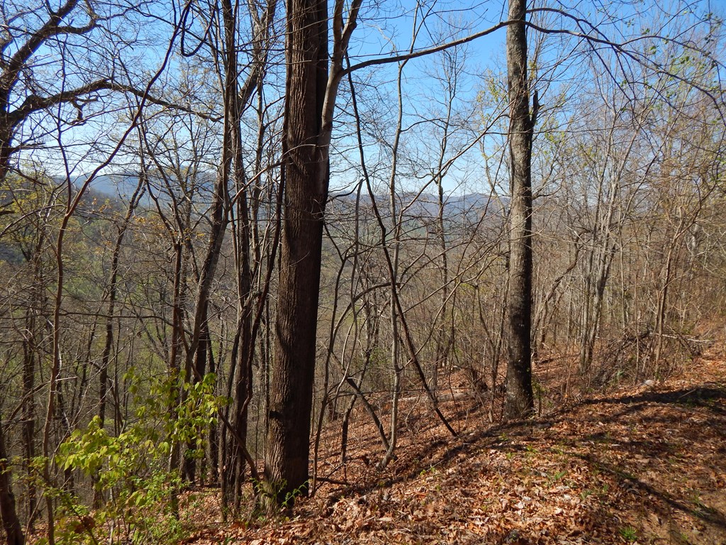 16-18 Burnt Leaf Lane