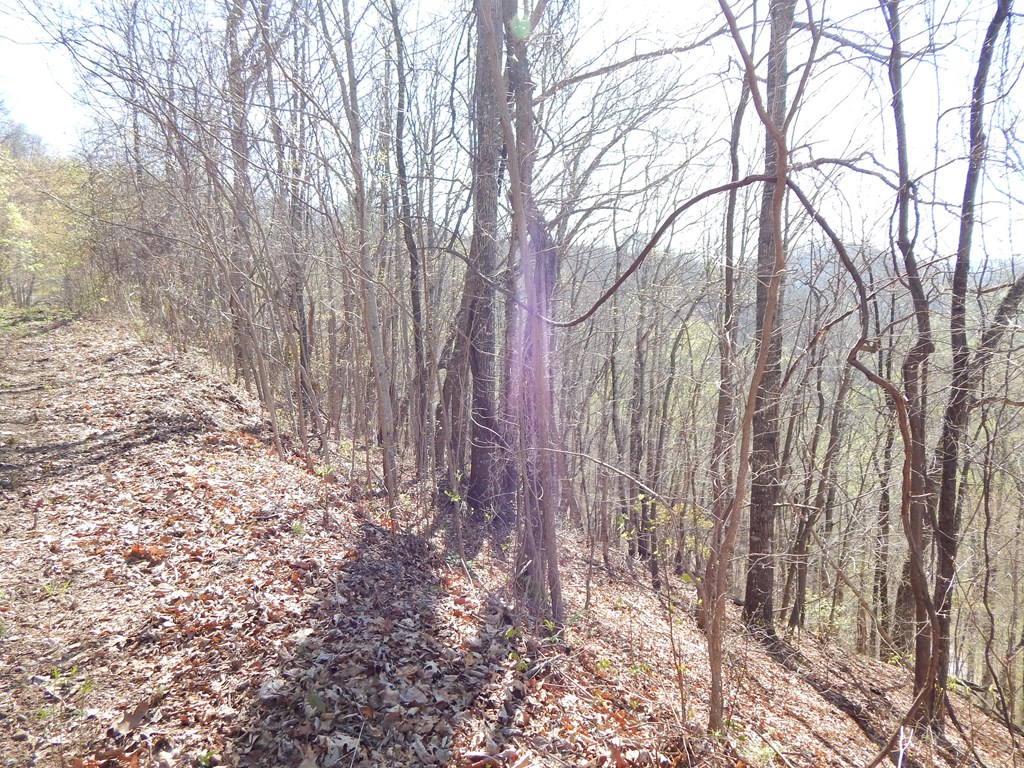 16-18 Burnt Leaf Lane