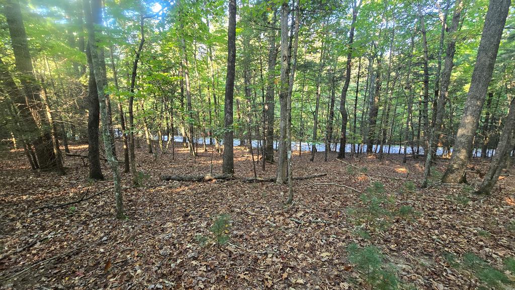 10 Acres Mt Pleasant Church