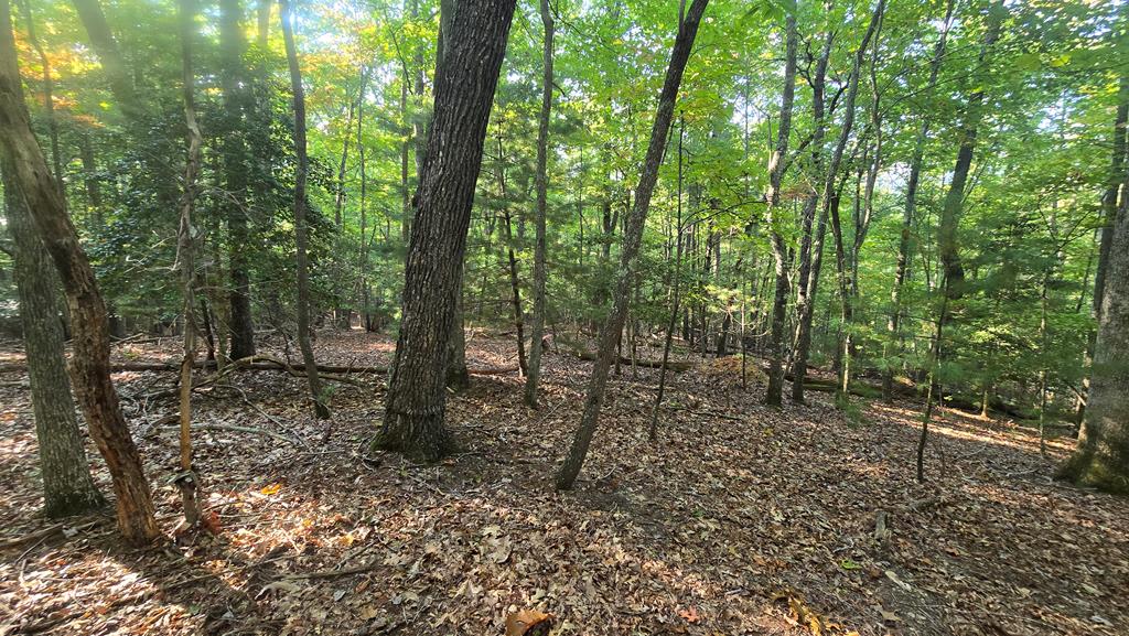 10 Acres Mt Pleasant Church