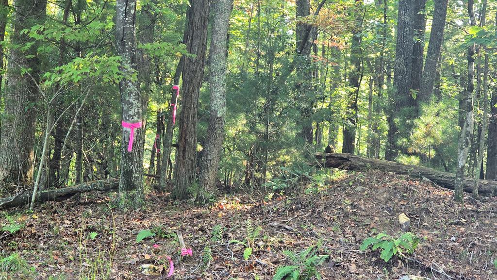 10 Acres Mt Pleasant Church