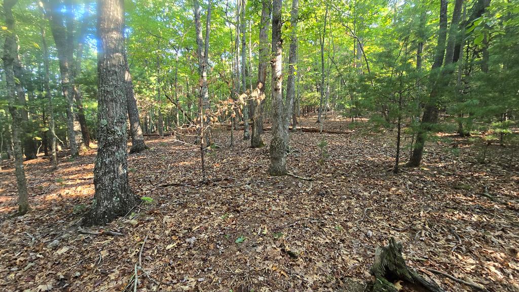 10 Acres Mt Pleasant Church