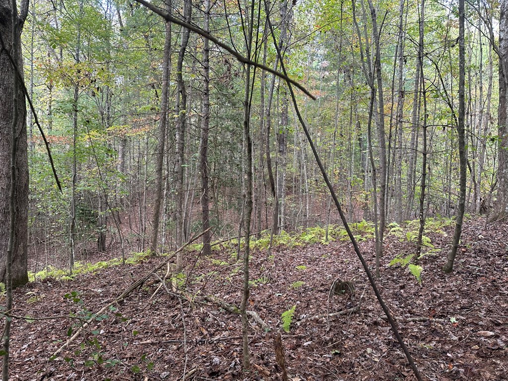 Lot 14 Pine Grove Drive