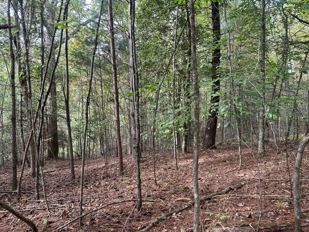 Lot 14 Pine Grove Drive