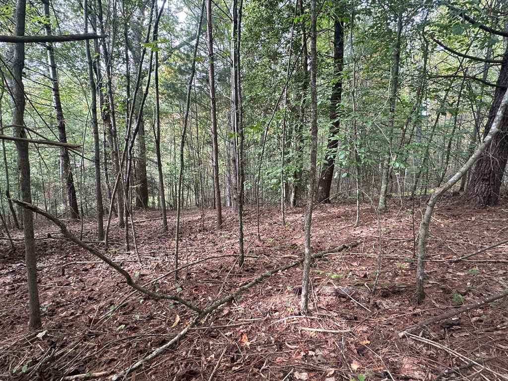 Lot 14 Pine Grove Drive